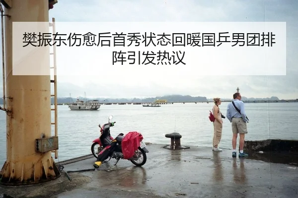 樊振东伤愈后首秀状态回暖国乒男团排阵引发热议